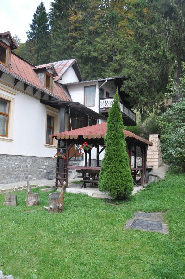 Vila Bradet Busteni Exterior photo